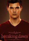 The Twilight Saga: Breaking Dawn - Part 1 poster