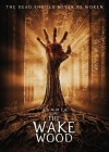 Wake Wood poster