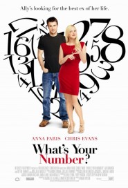 What's Your Number? poster