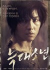 A Werewolf Boy poster