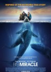 Big Miracle poster