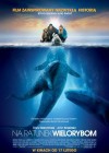 Big Miracle poster