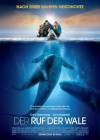 Big Miracle poster