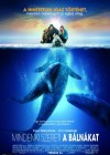 Big Miracle poster