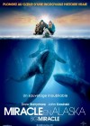 Big Miracle poster