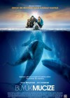 Big Miracle poster