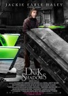 Dark Shadows poster