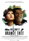 My Sweet Orange Tree poster