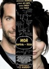 Silver Linings Playbook poster