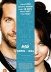 Silver Linings Playbook poster