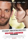 Silver Linings Playbook poster