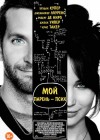 Silver Linings Playbook poster