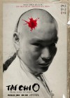Tai Chi 0 poster