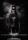 The Dark Knight Rises poster