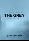 The Grey poster