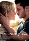 The Lucky One poster