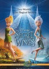 TinkerBell and the Secret of the Wings poster