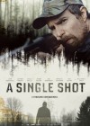 A Single Shot poster