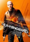 Hummingbird poster