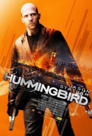 Hummingbird poster
