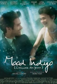 Mood Indigo poster