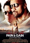 Pain & Gain poster