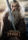 The Hobbit: The Desolation of Smaug poster