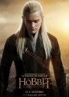 The Hobbit: The Desolation of Smaug poster