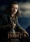 The Hobbit: The Desolation of Smaug poster