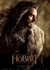 The Hobbit: The Desolation of Smaug poster