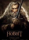 The Hobbit: The Desolation of Smaug poster