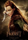 The Hobbit: The Desolation of Smaug poster