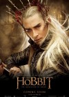 The Hobbit: The Desolation of Smaug poster