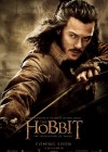 The Hobbit: The Desolation of Smaug poster