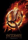 The Hunger Games: Catching Fire poster