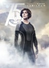 The Hunger Games: Catching Fire poster