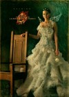 The Hunger Games: Catching Fire poster