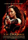 The Hunger Games: Catching Fire poster