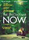 The Spectacular Now poster