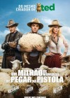 A Million Ways to Die in the West poster