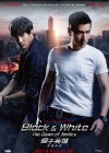 Black & White: The Dawn of Justice poster