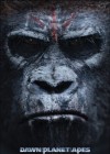 Dawn of the Planet of the Apes poster