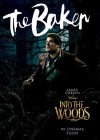 Into the Woods poster