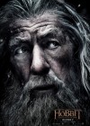 The Hobbit: The Battle of Five Armies poster