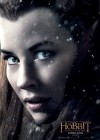 The Hobbit: The Battle of Five Armies poster