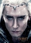 The Hobbit: The Battle of Five Armies poster