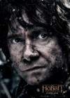 The Hobbit: The Battle of Five Armies poster