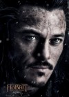 The Hobbit: The Battle of Five Armies poster