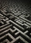 The Maze Runner poster