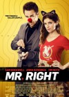 Mr. Right poster